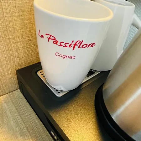 Hotel Logis Le Passiflore Cognac Chateaubernard