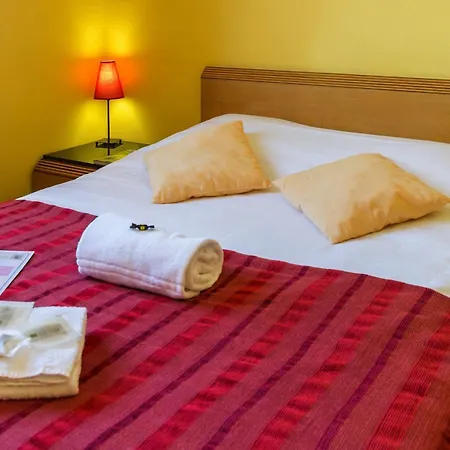 Logis Le Passiflore Cognac 3* Chateaubernard