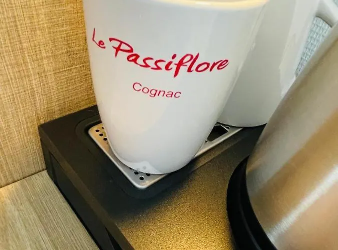 Hotel Le Passiflore Châteaubernard